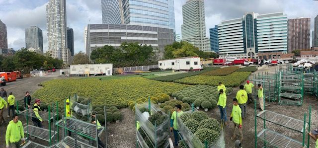 A group of people are standing in a field with a city in the background.