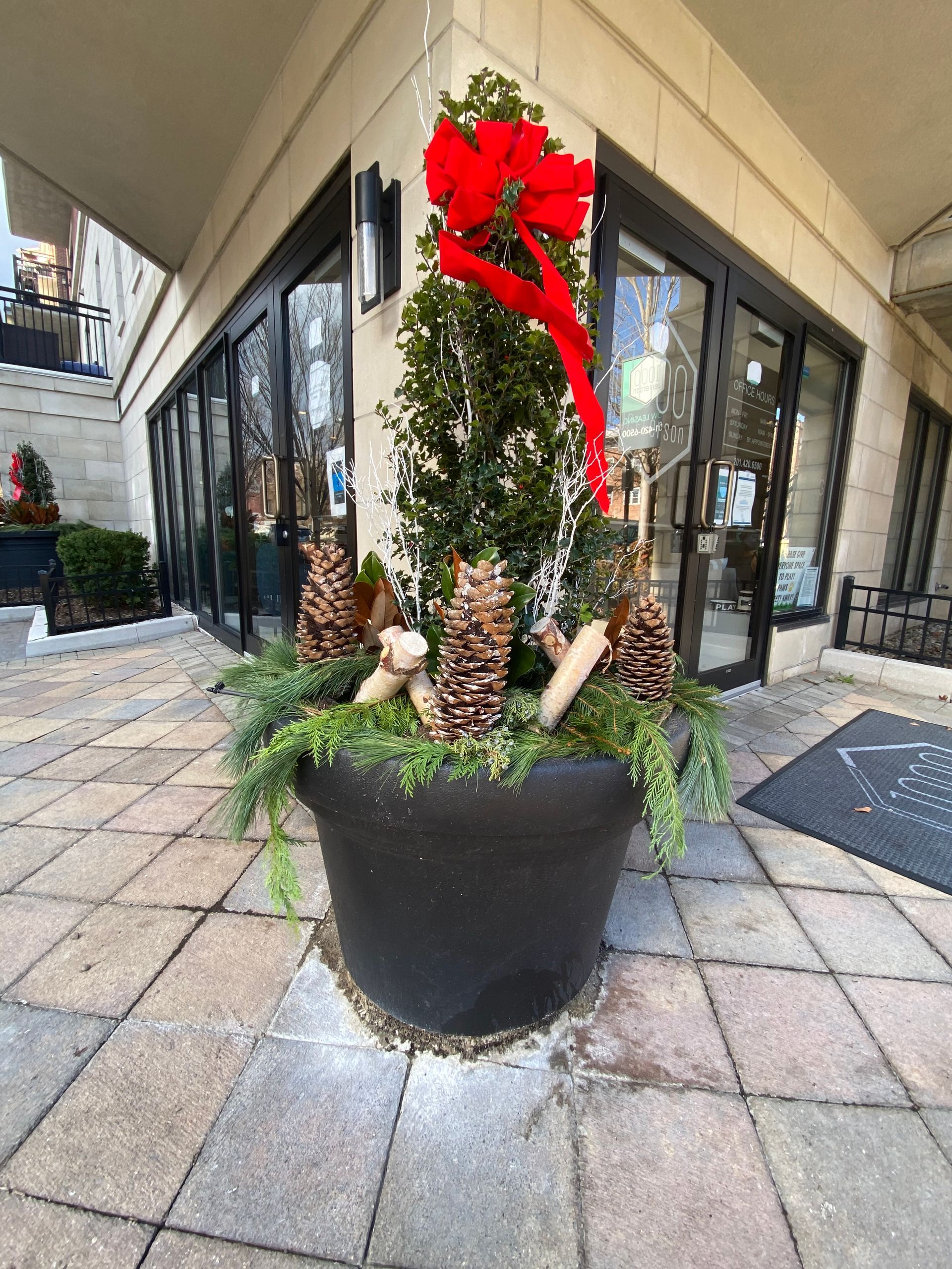 A potted plant with a red bow on it is in front of a building.