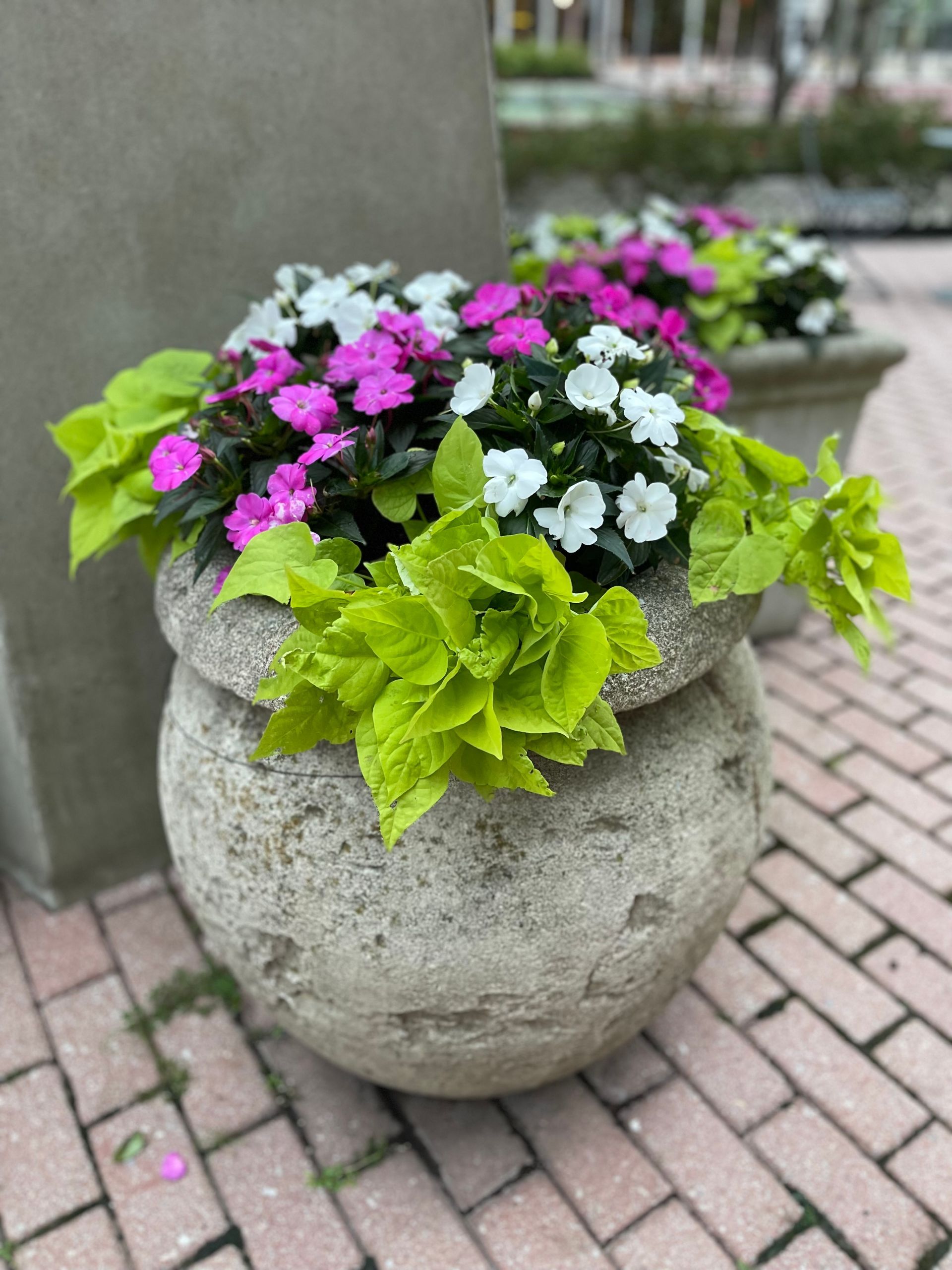 A stone pot filled with pink and white flowers on a brick sidewalk.