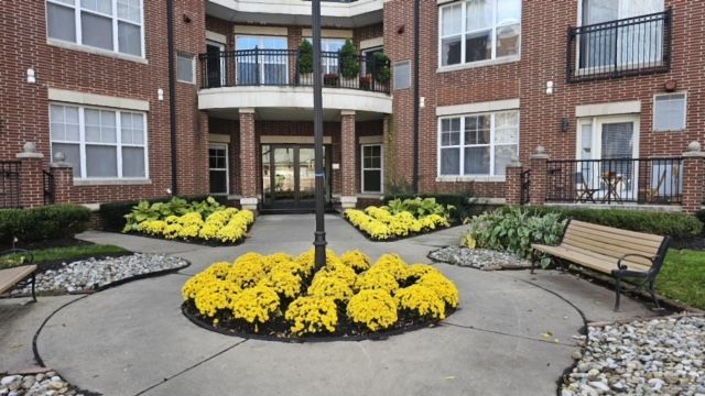 A brick building with yellow flowers in front of it