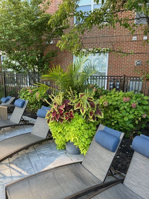 A patio with lounge chairs and plants in front of a brick building
