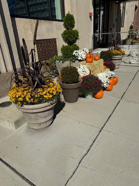 A row of potted plants and pumpkins on a sidewalk in front of a building