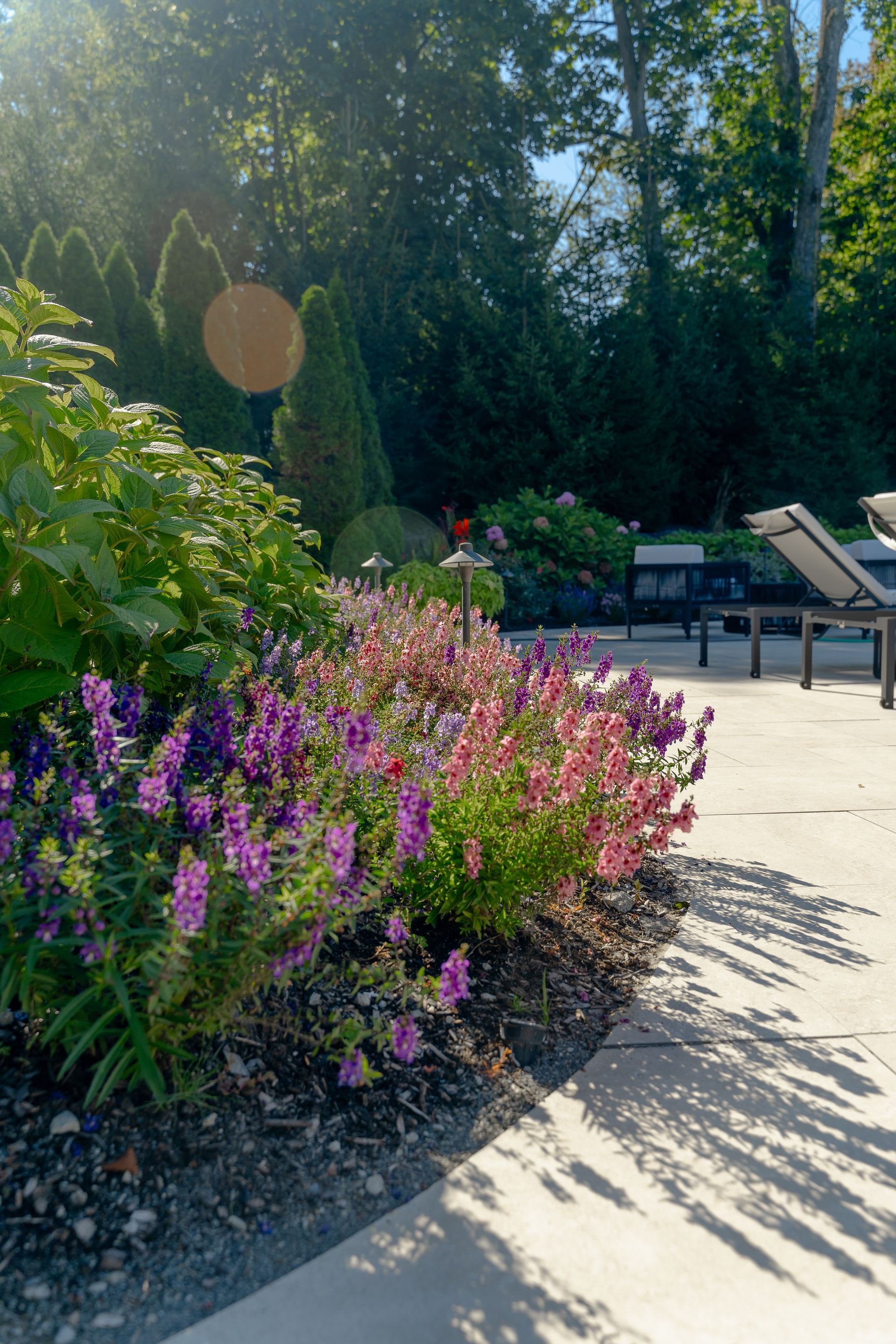 A row of pink and purple flowers growing in a garden next to a patio.