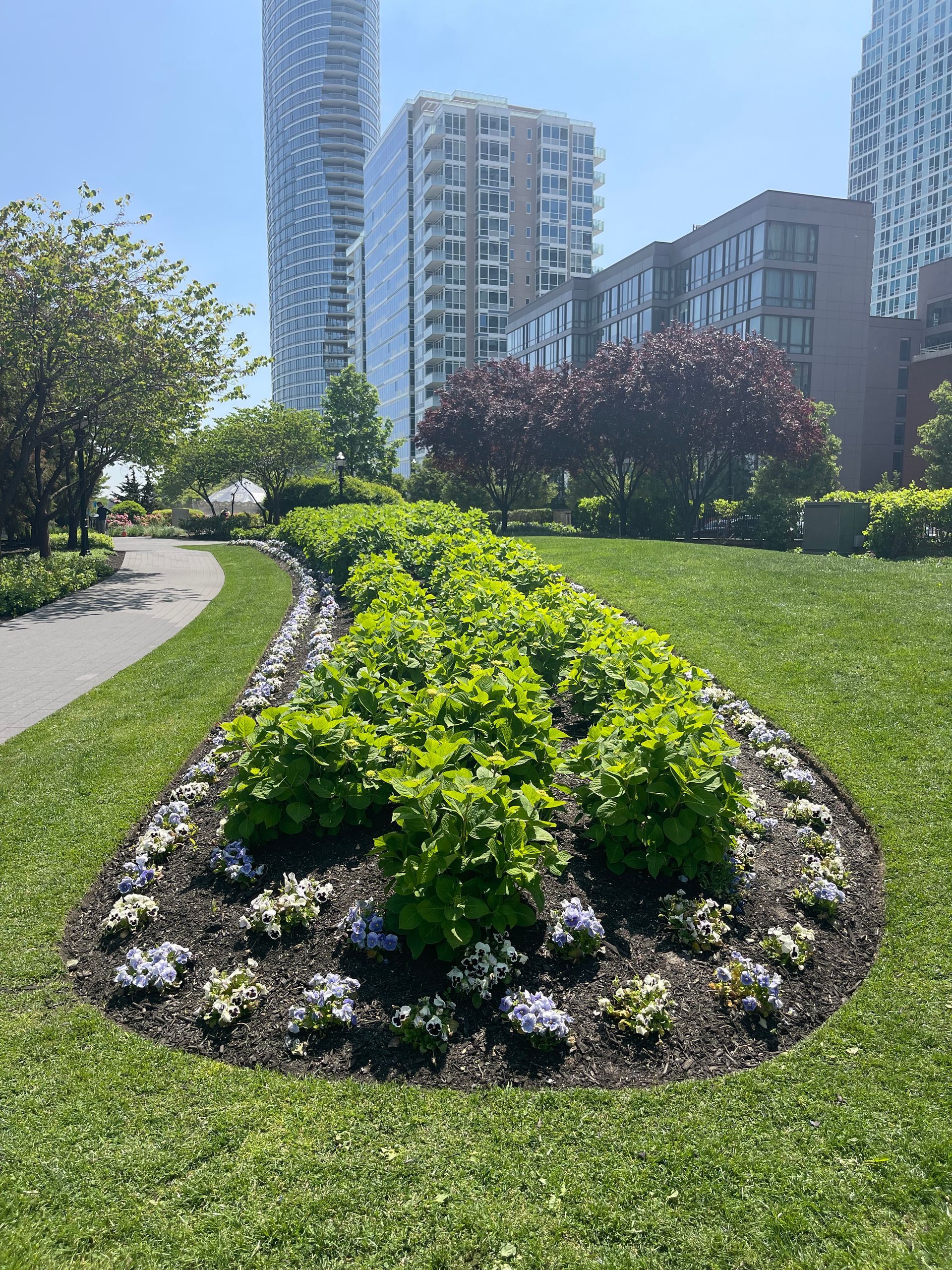 A garden with flowers and bushes in a park with tall buildings in the background.