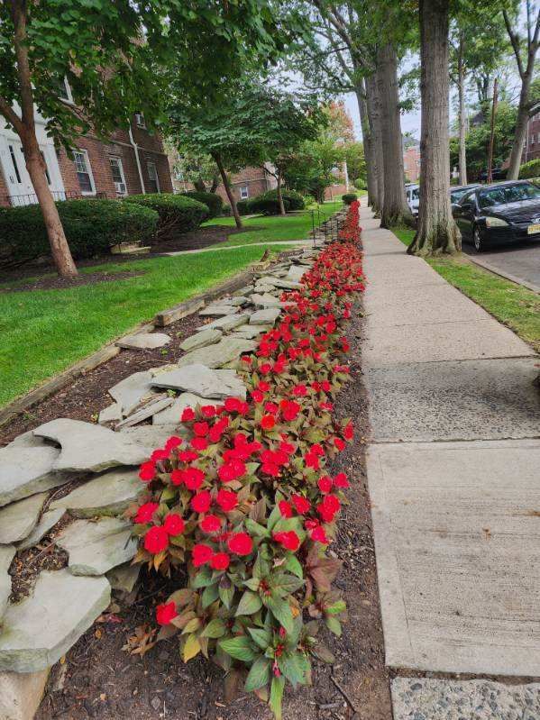 A sidewalk with red flowers and rocks on it