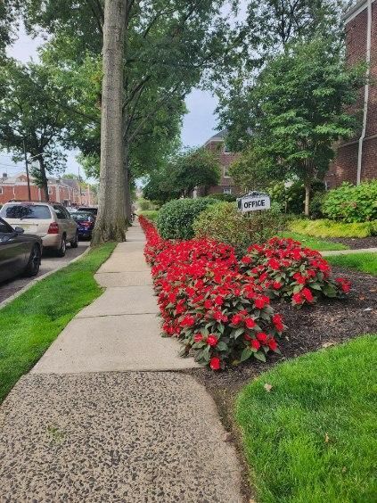 A sidewalk with a row of red flowers on it