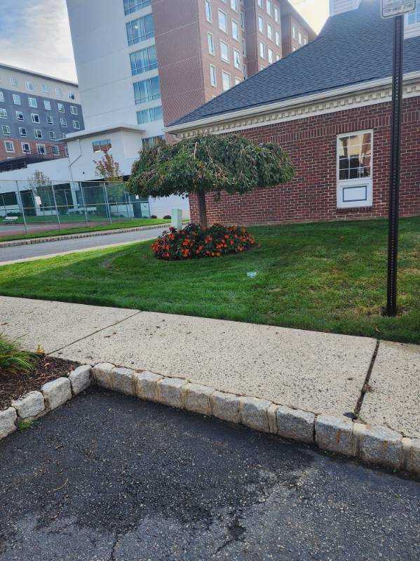A brick building with a tree in front of it and a sidewalk.