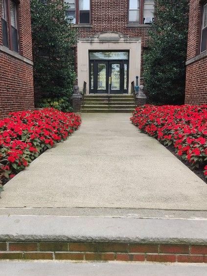 A brick building with red flowers in front of it