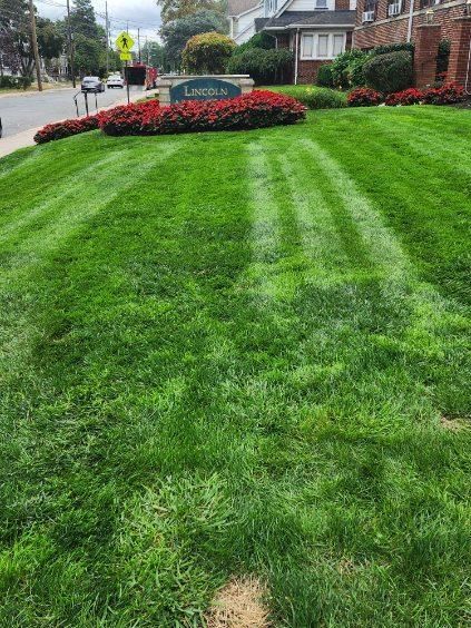 A lush green lawn with a sign in the middle of it.