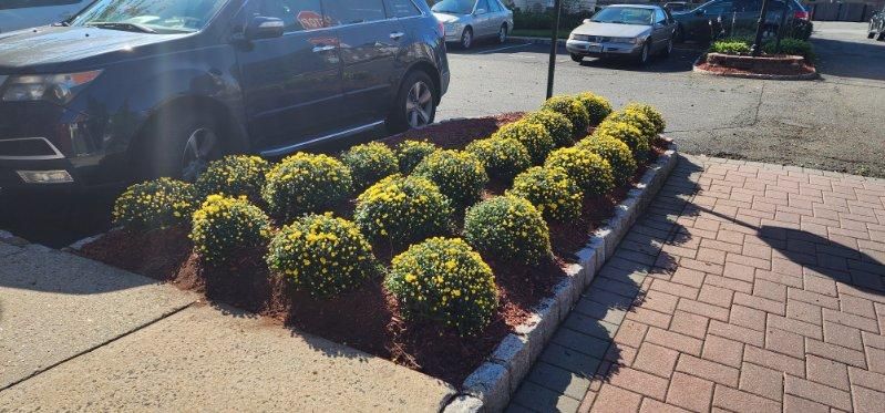 A black suv is parked in a parking lot next to a row of bushes.