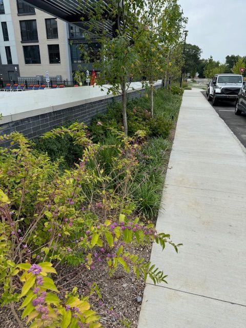 A sidewalk with trees and bushes along the side of it