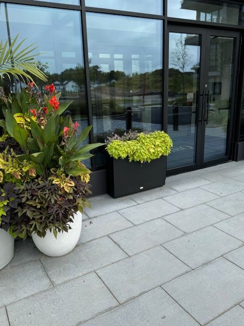 A planter with flowers in front of a building