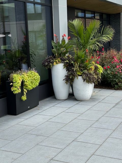A couple of potted plants on a patio outside of a building