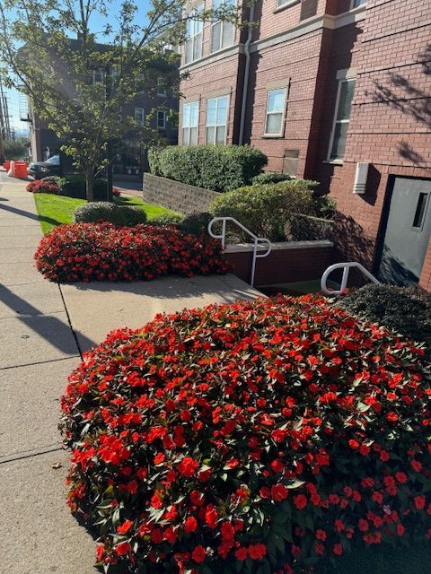 A brick building with red flowers in front of it