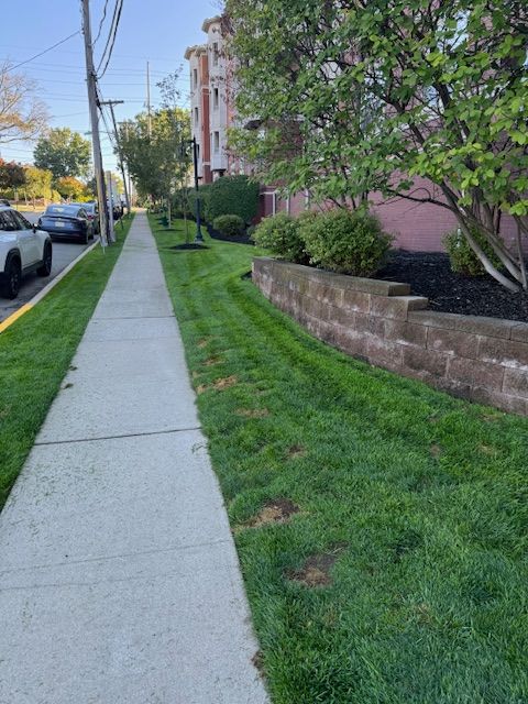 A sidewalk with a brick wall along the side of it