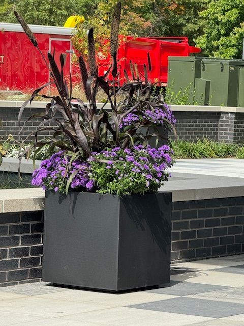 A black planter filled with purple flowers is sitting next to a brick wall.