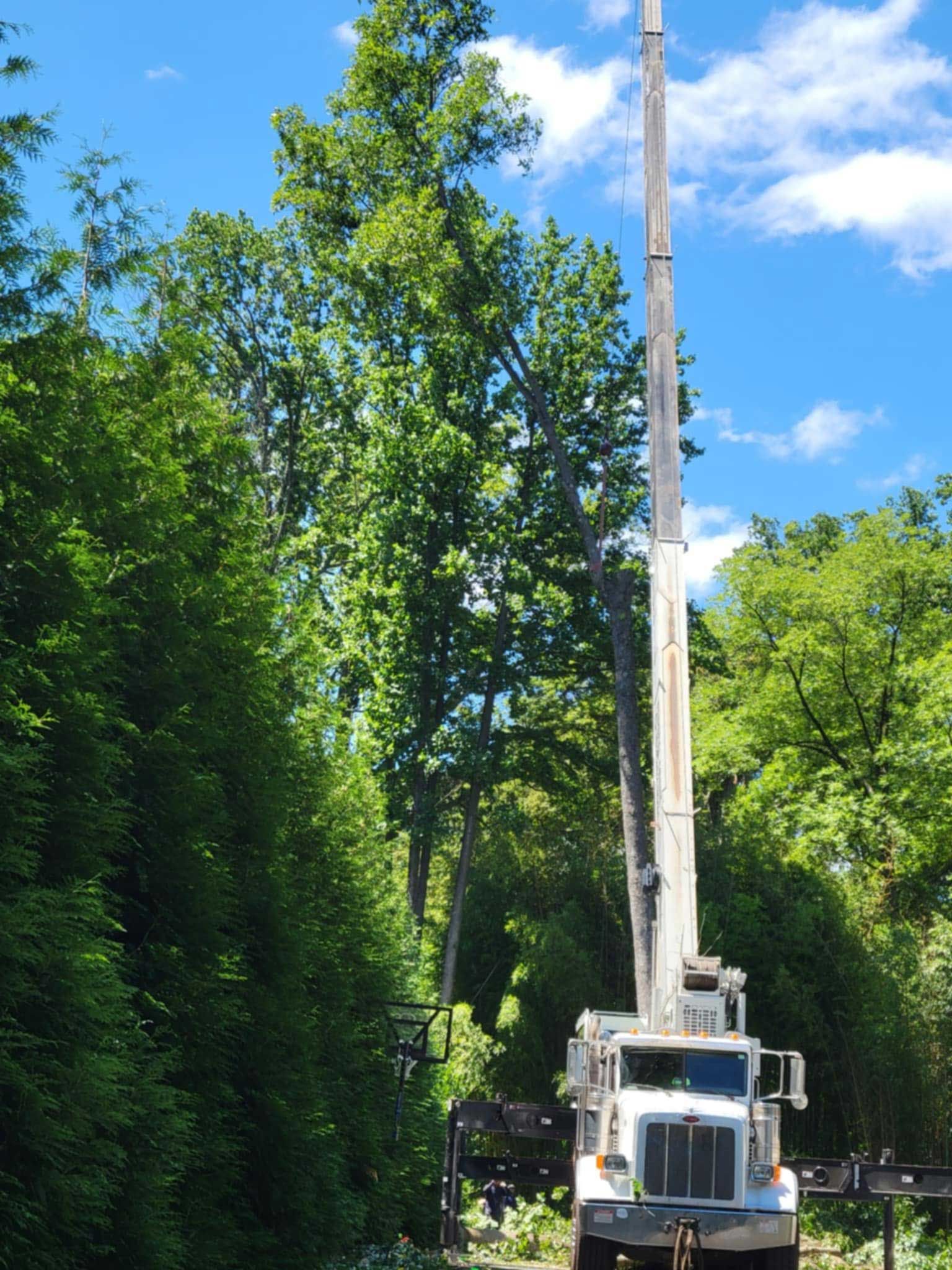White utility truck with raised boom on a wooded road under a blue sky