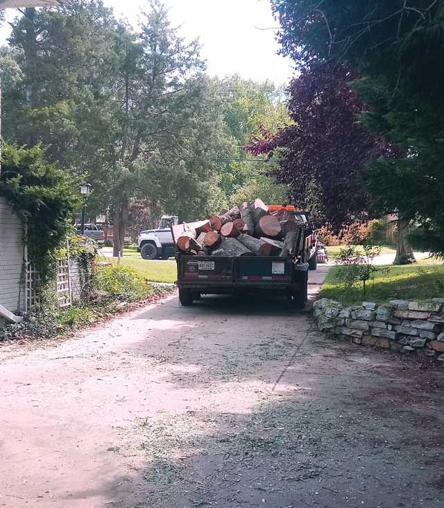 Pickup truck loaded with cut logs on a tree-lined gravel road near a stone wall
