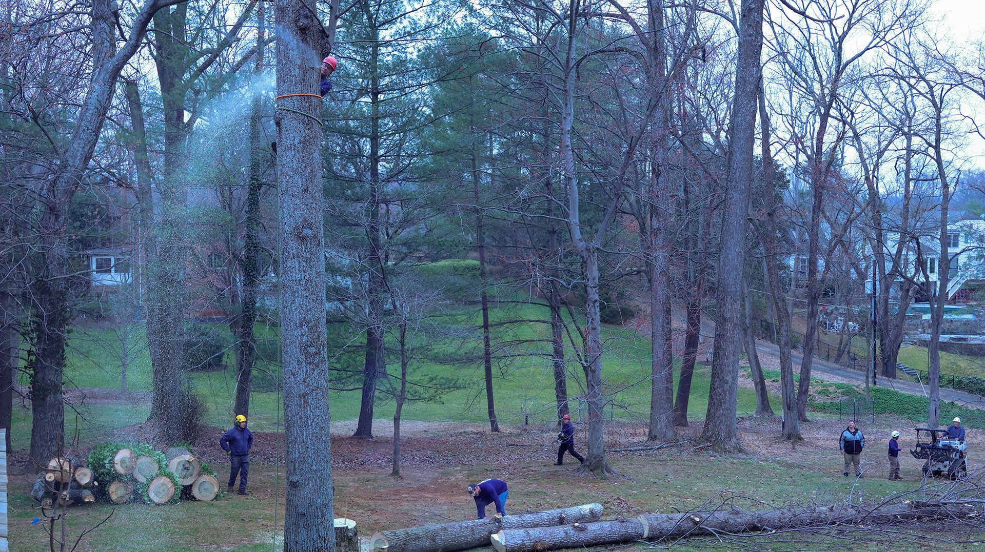 People walking in a leafless park beside a river, with trees and a drum set on the left.