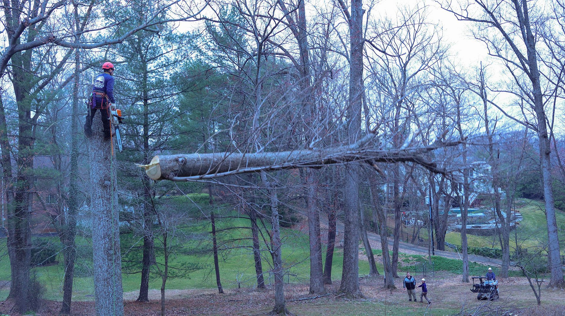 Person in a red helmet on a ropes course, balancing on a log bridge between trees in a wooded park.
