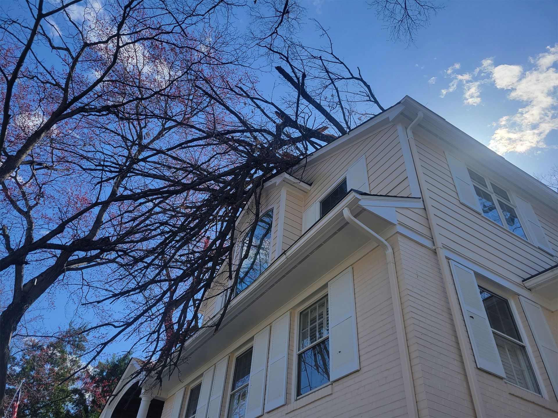 White house with shutters viewed from below against a blue sky and bare tree branches