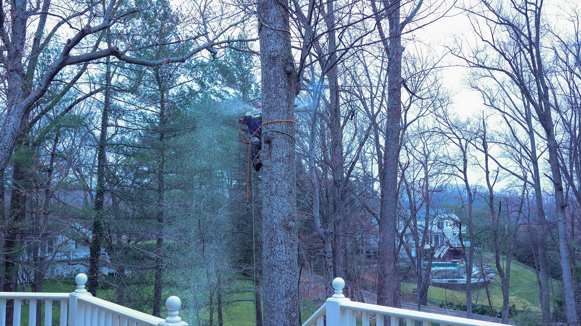 Bare winter trees beyond a white railing, with a blue house visible through the woods.