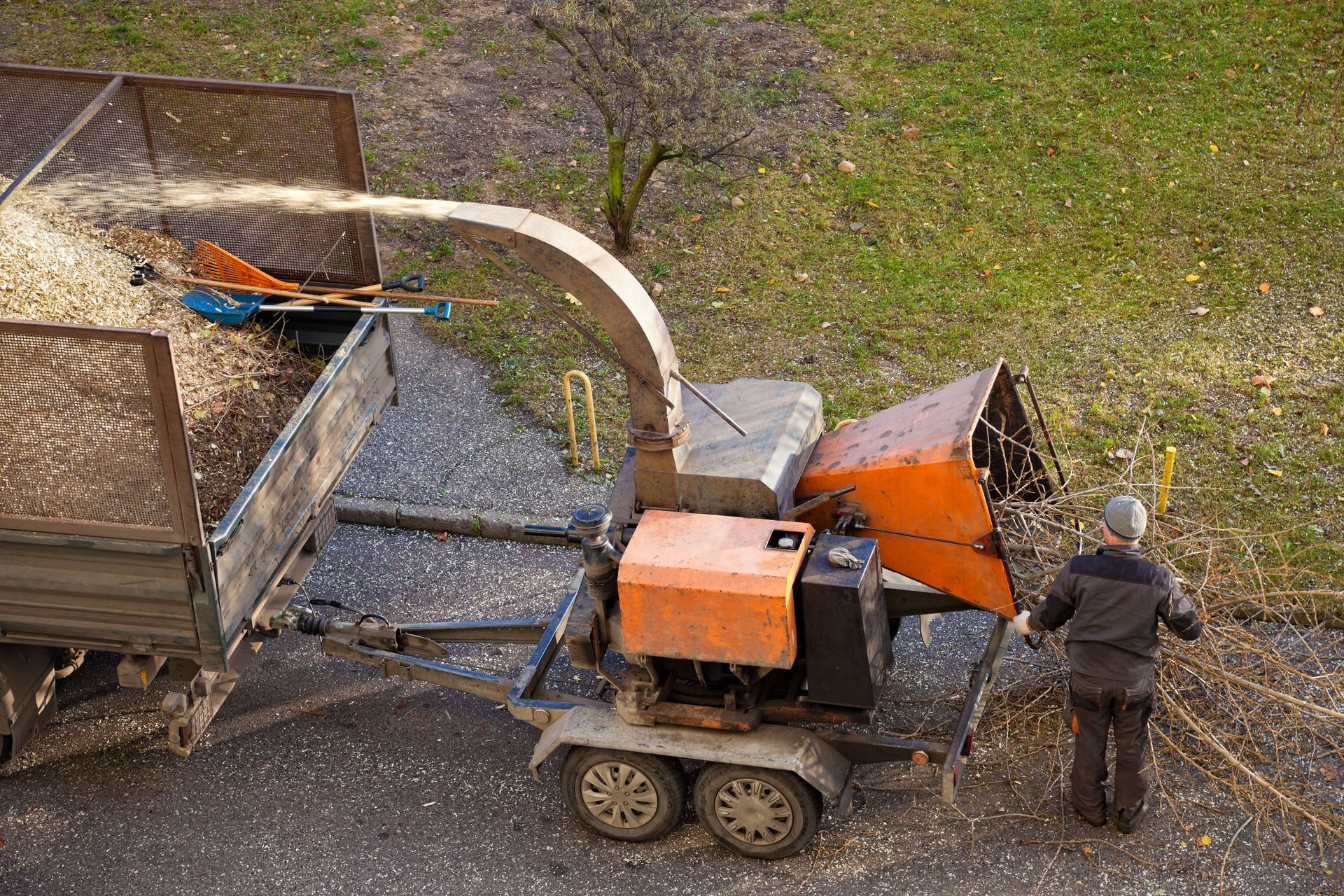 Person operating a wood chipper beside a house, feeding branches into it from a yard.