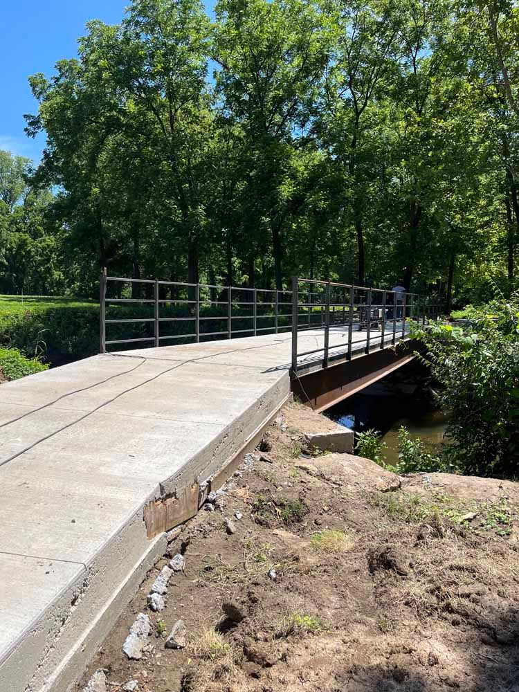 A bridge over a river in the middle of a forest.