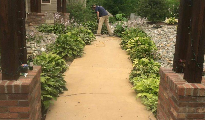 Property Maintenance