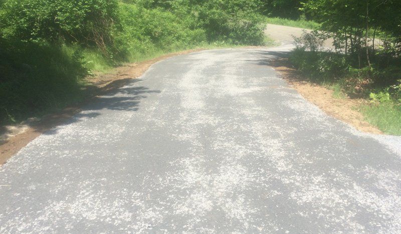 All Phase Property Maintenance, LLC