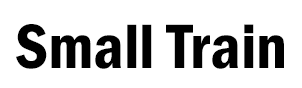 Small Train