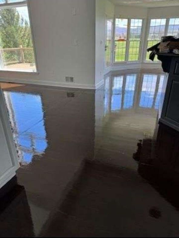 Shiny, dark brown floor reflecting the light from large windows in a white-walled room.