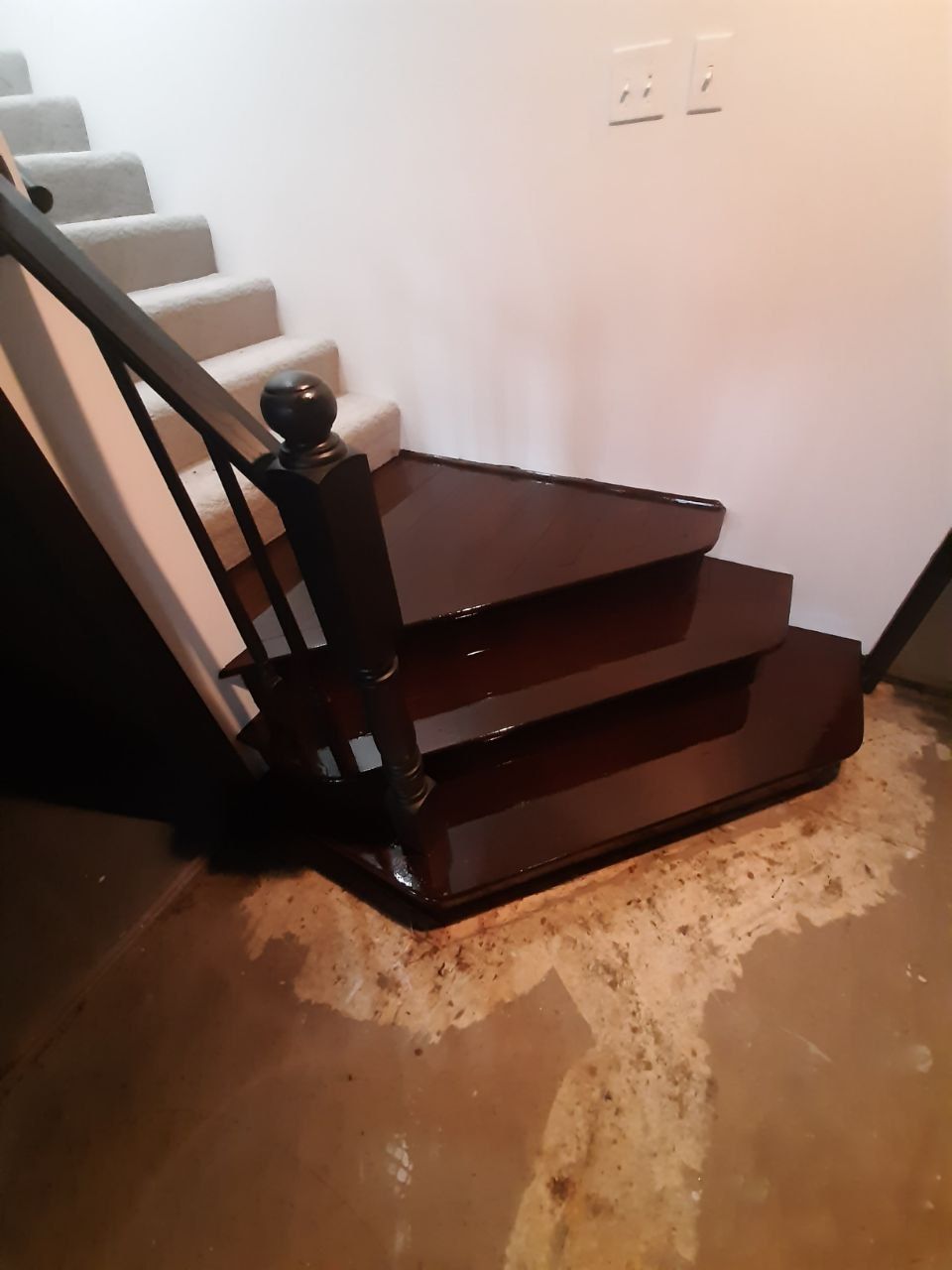 Dark wooden stairs with black railing descend into a basement; water stains on the concrete floor.