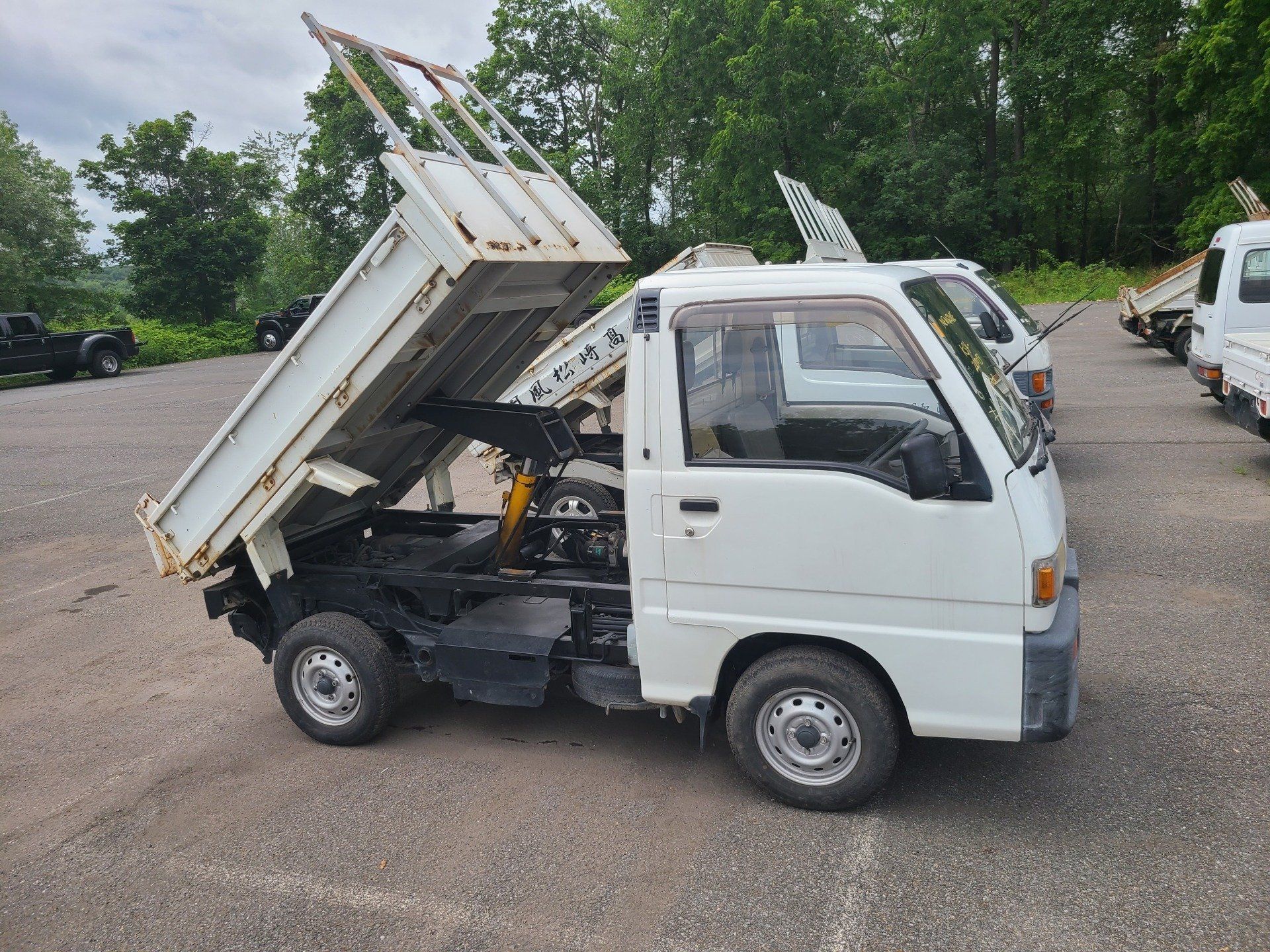 HVNY Imports photo gallery