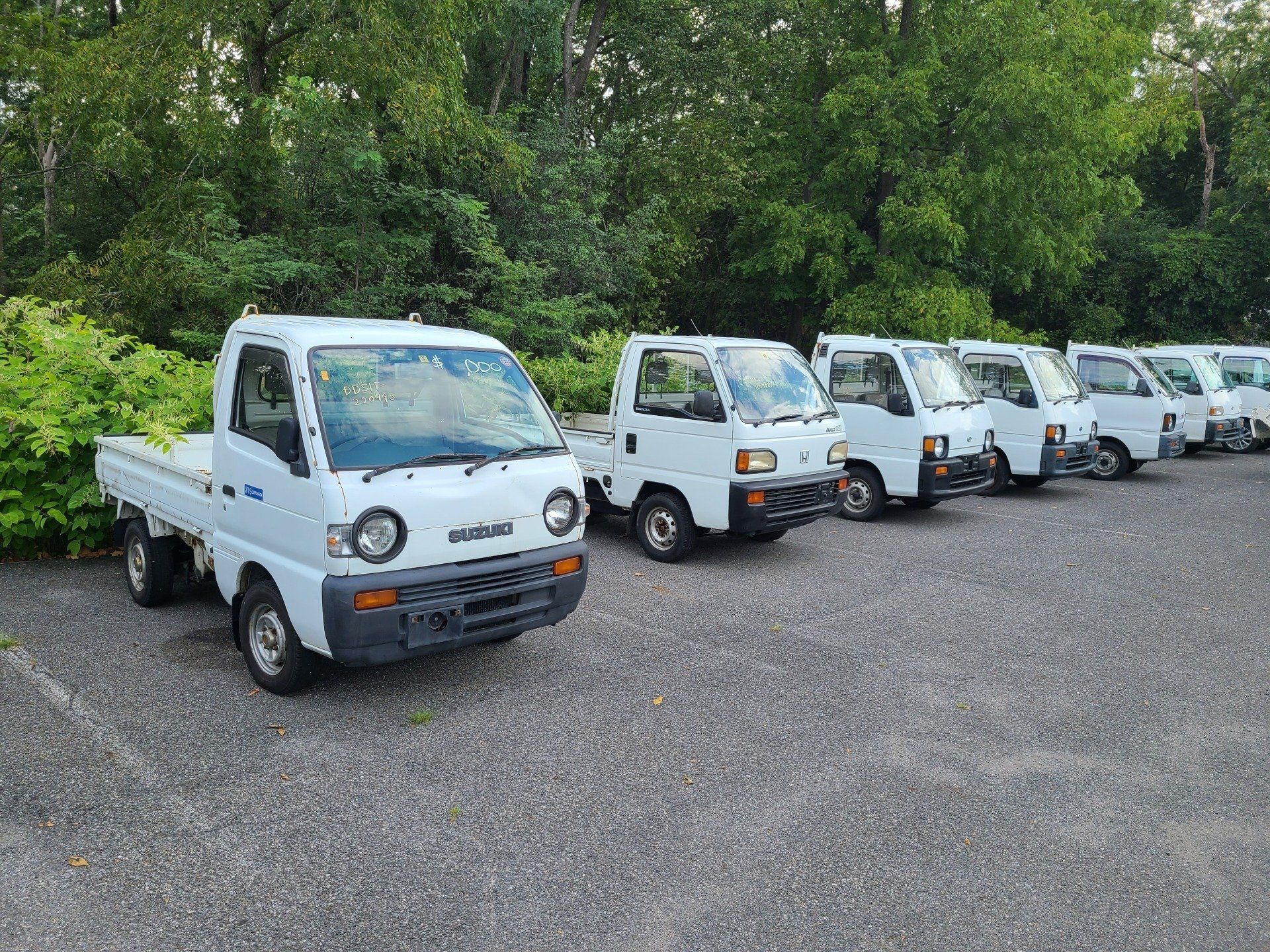 HVNY Imports photo gallery