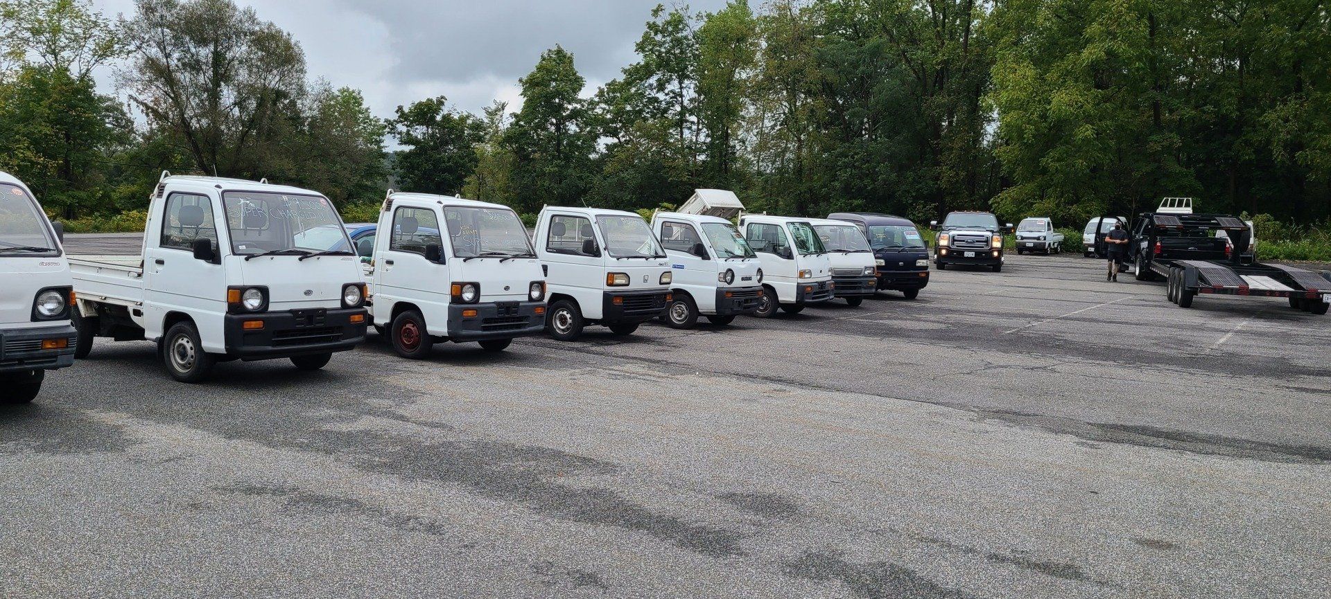 HVNY Imports photo gallery