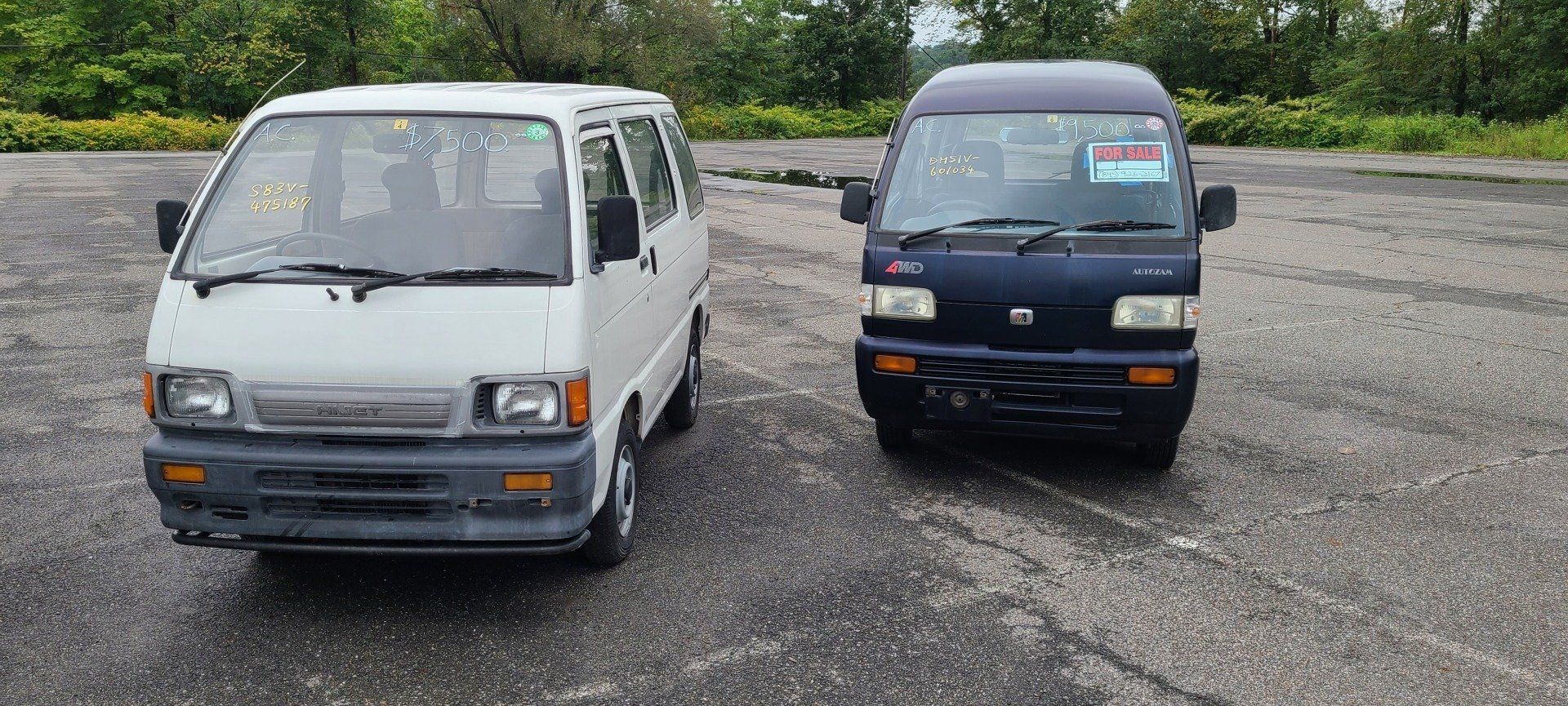 HVNY Imports photo gallery