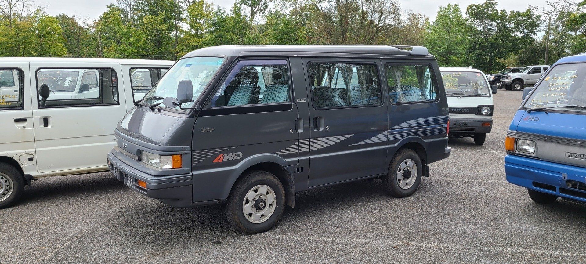 HVNY Imports photo gallery