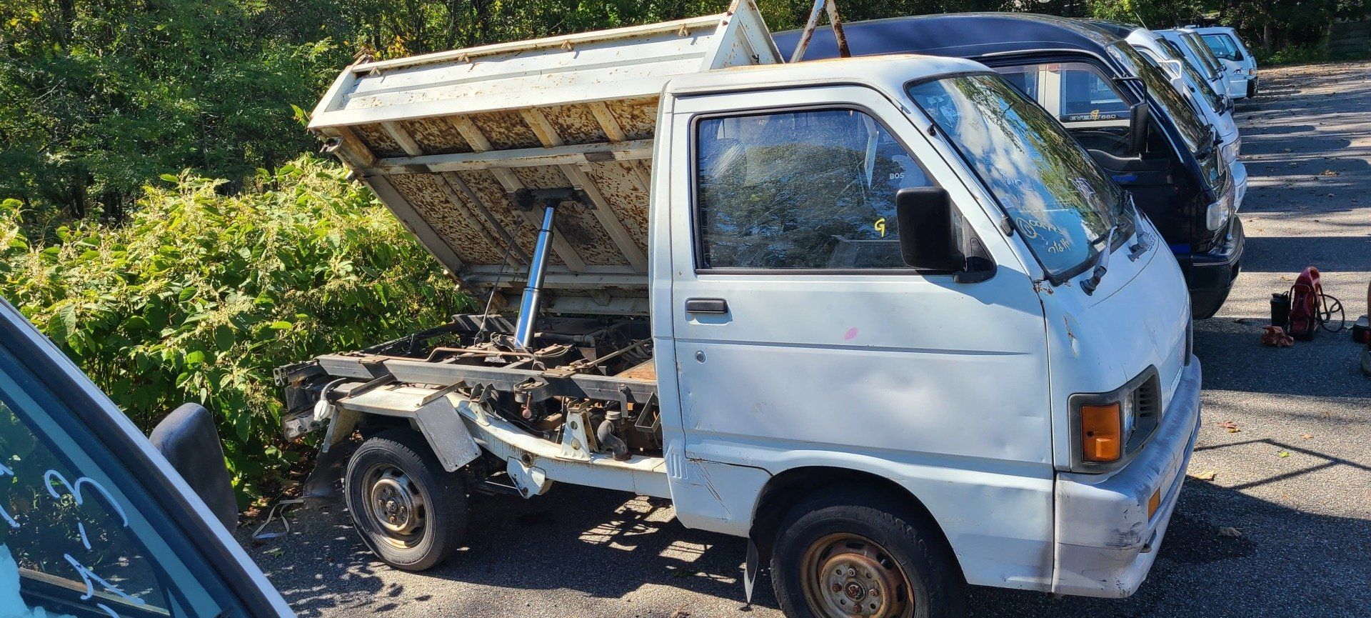 HVNY Imports photo gallery