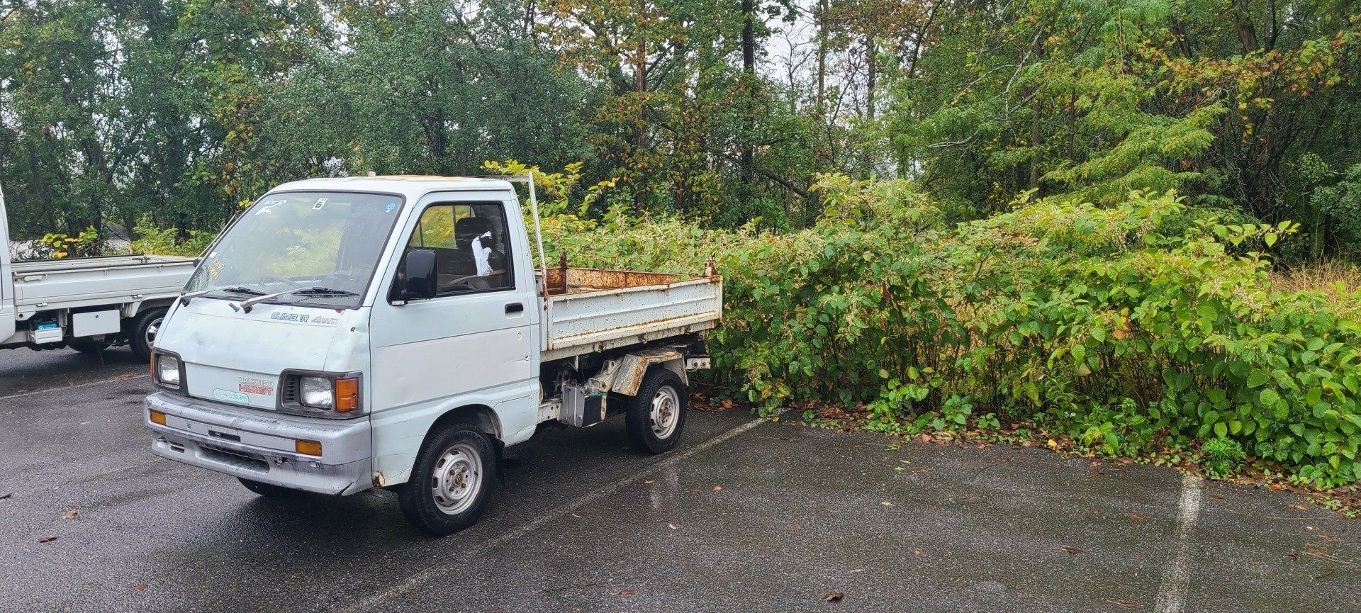 HVNY Imports photo gallery