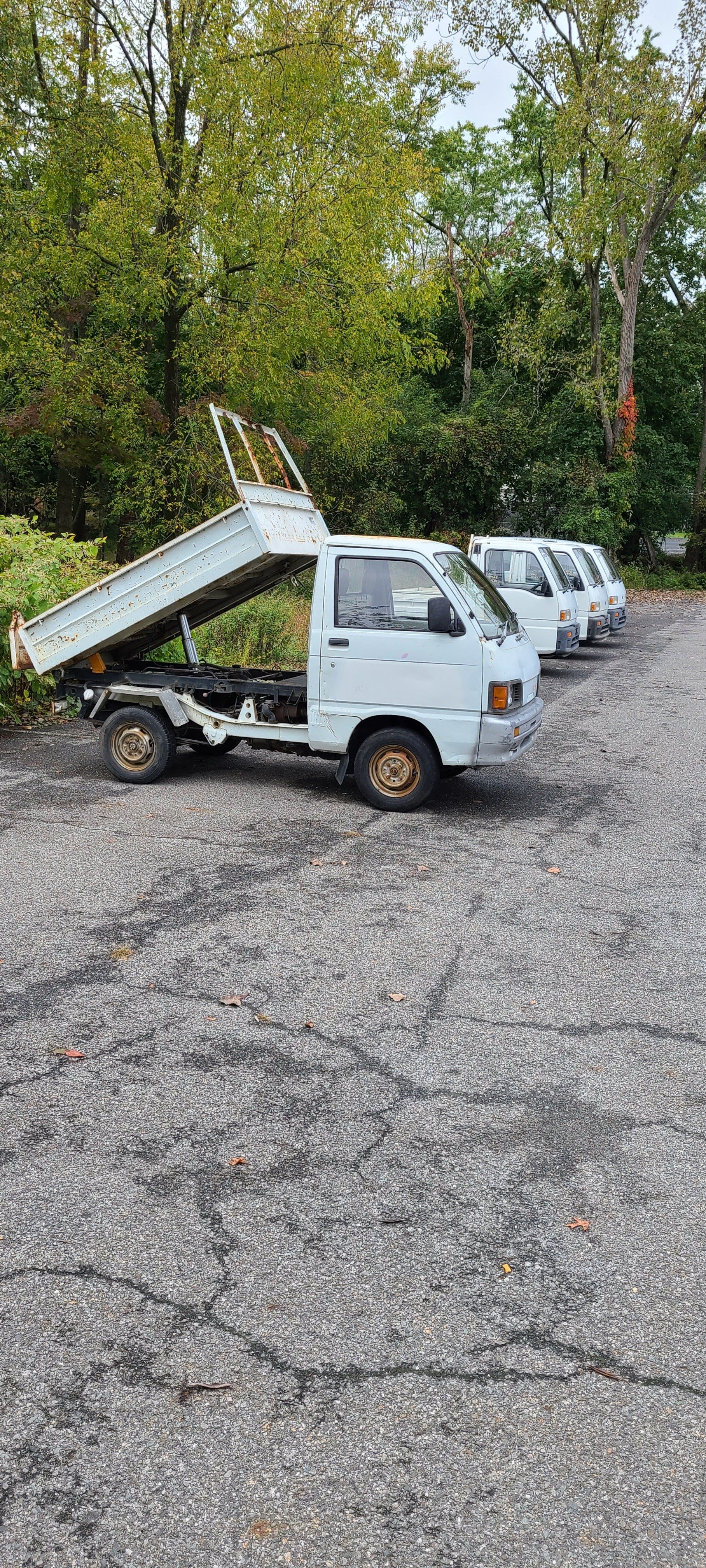 HVNY Imports photo gallery