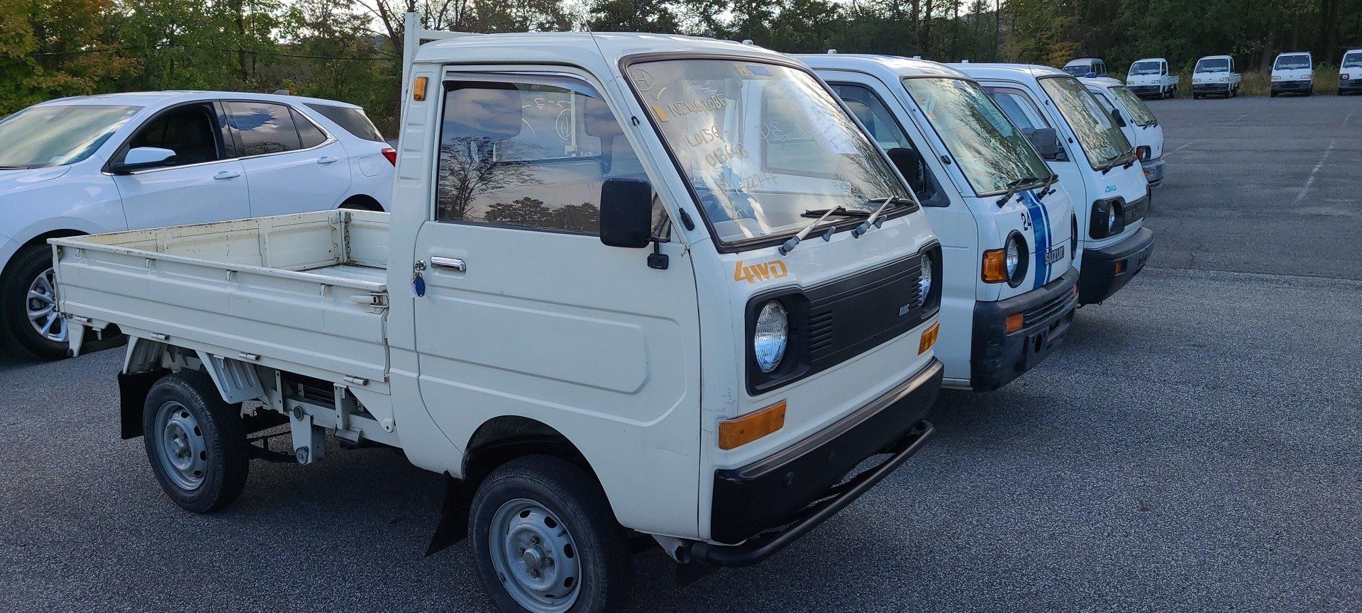 HVNY Imports photo gallery