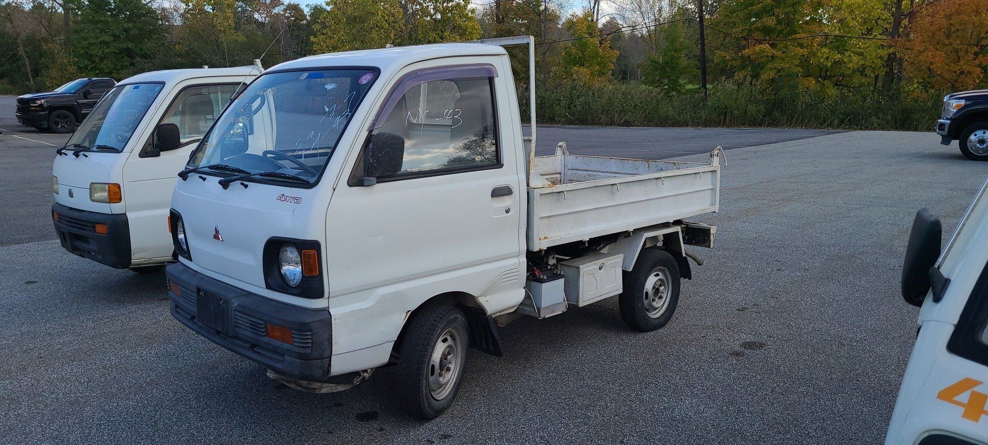 HVNY Imports photo gallery