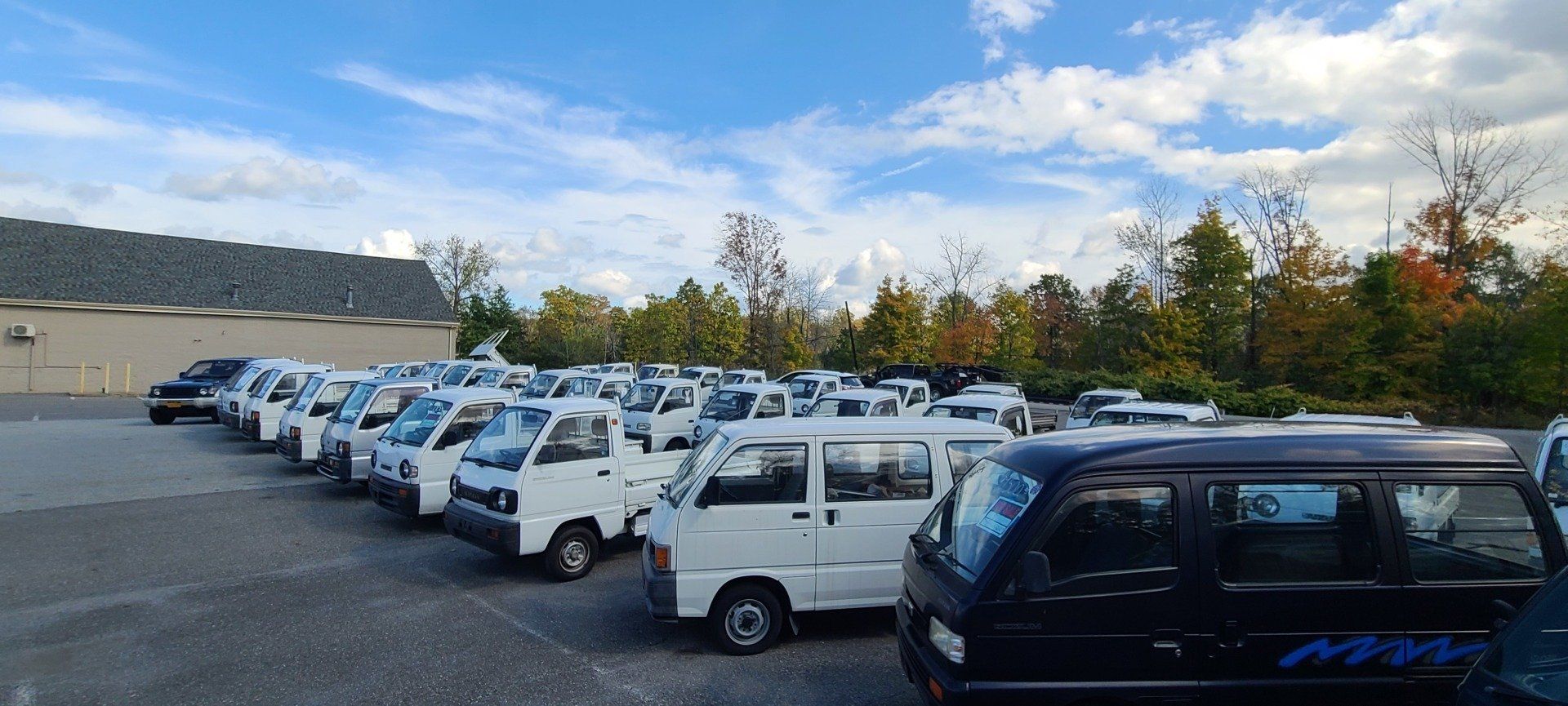 HVNY Imports photo gallery