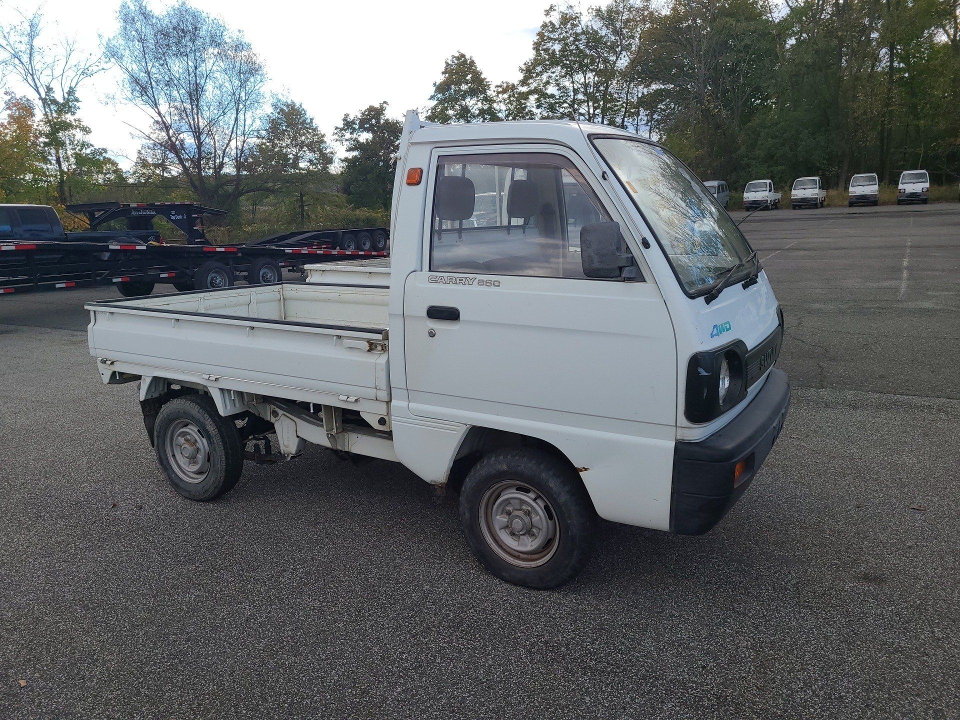 HVNY Imports photo gallery