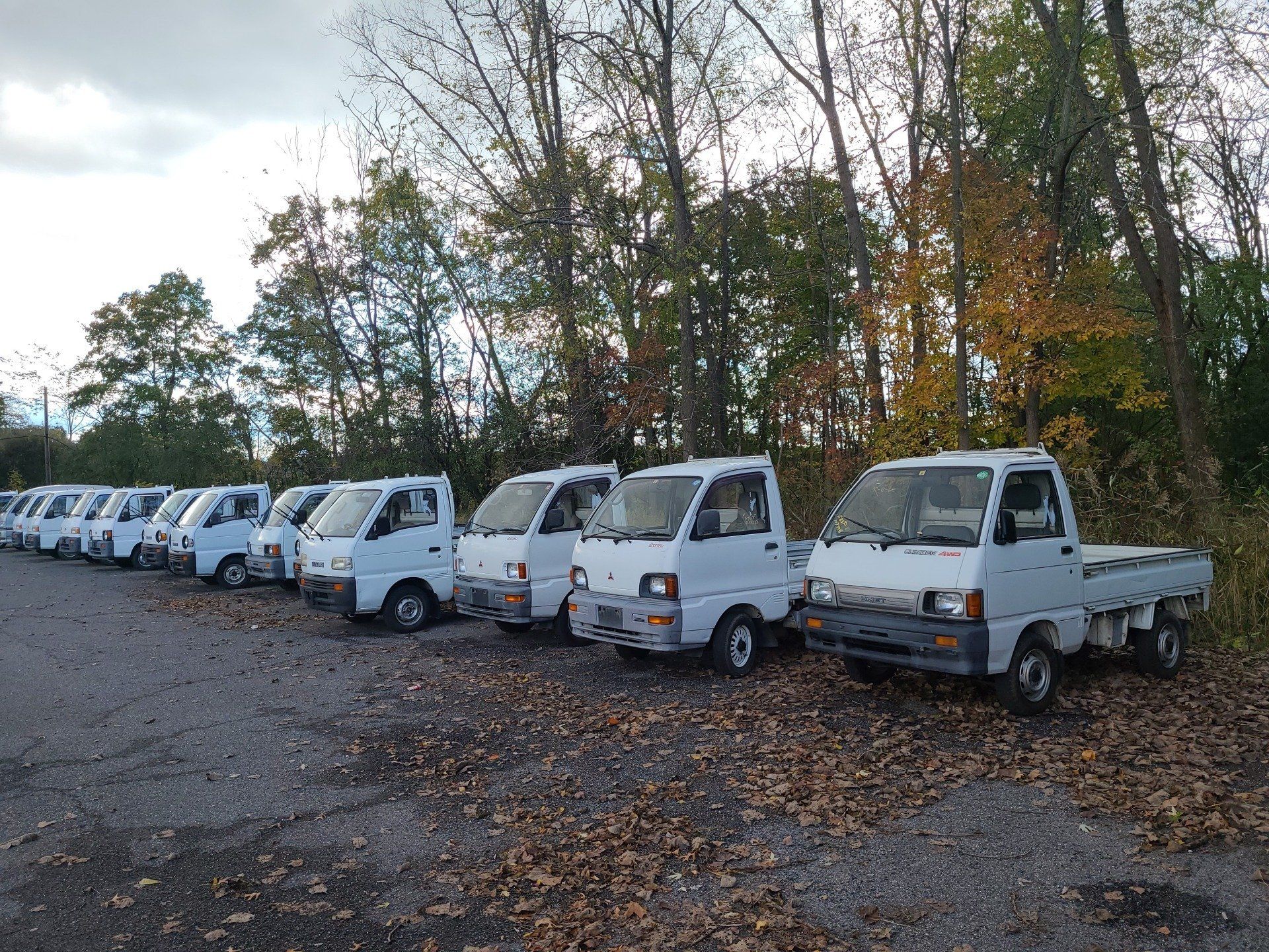 HVNY Imports photo gallery