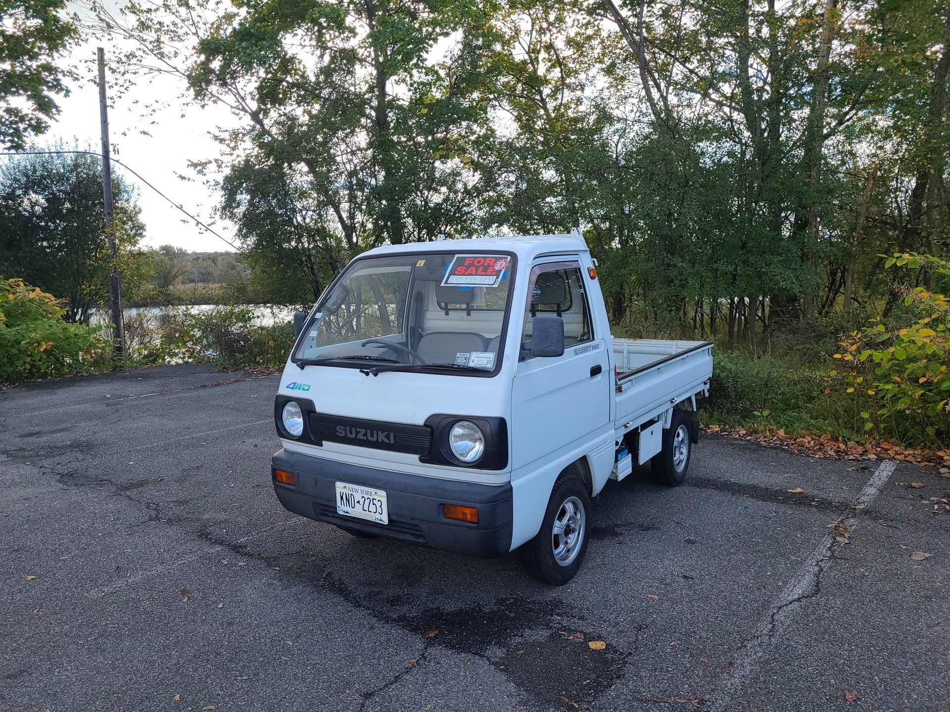 HVNY Imports photo gallery