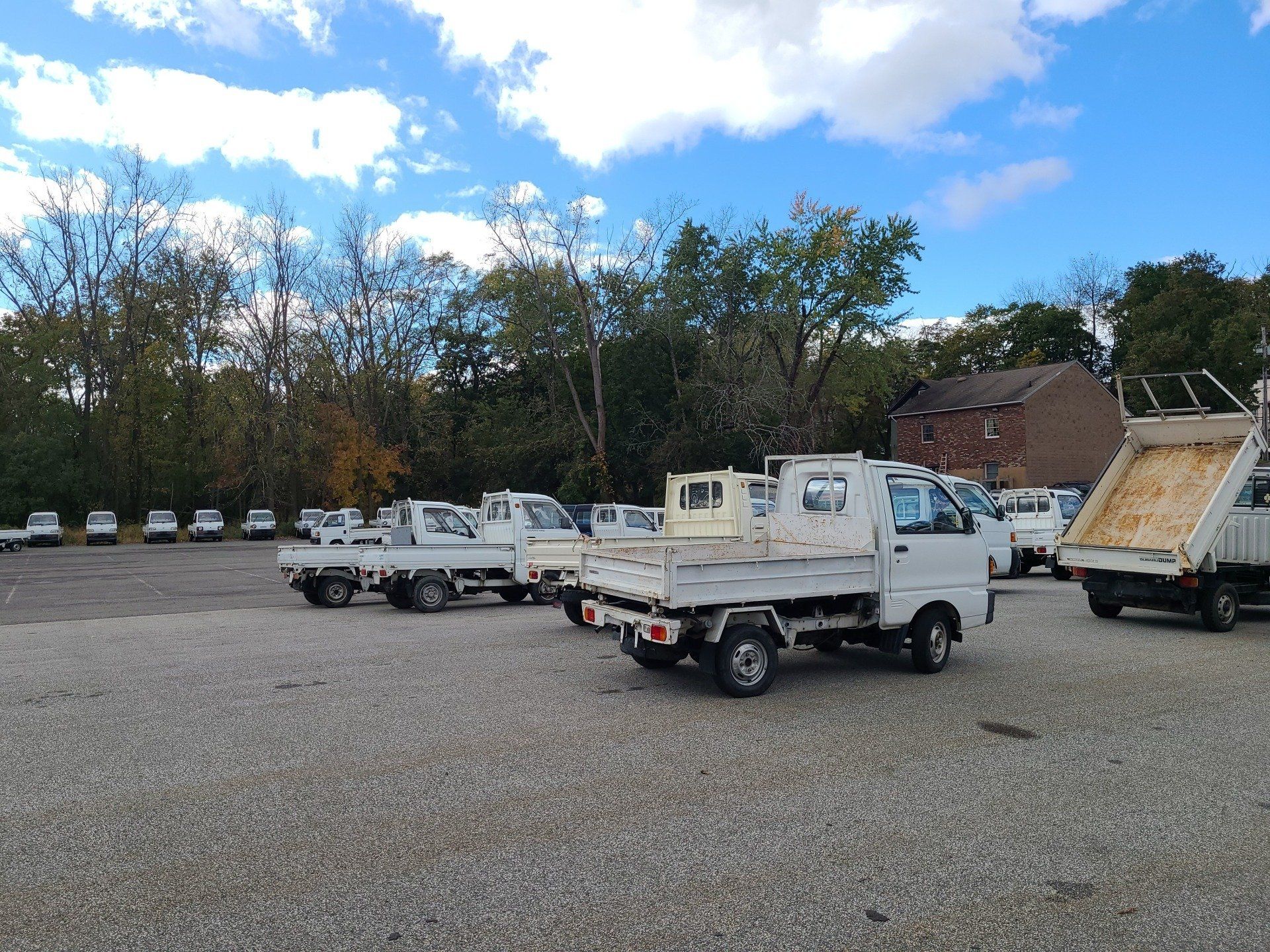 HVNY Imports photo gallery