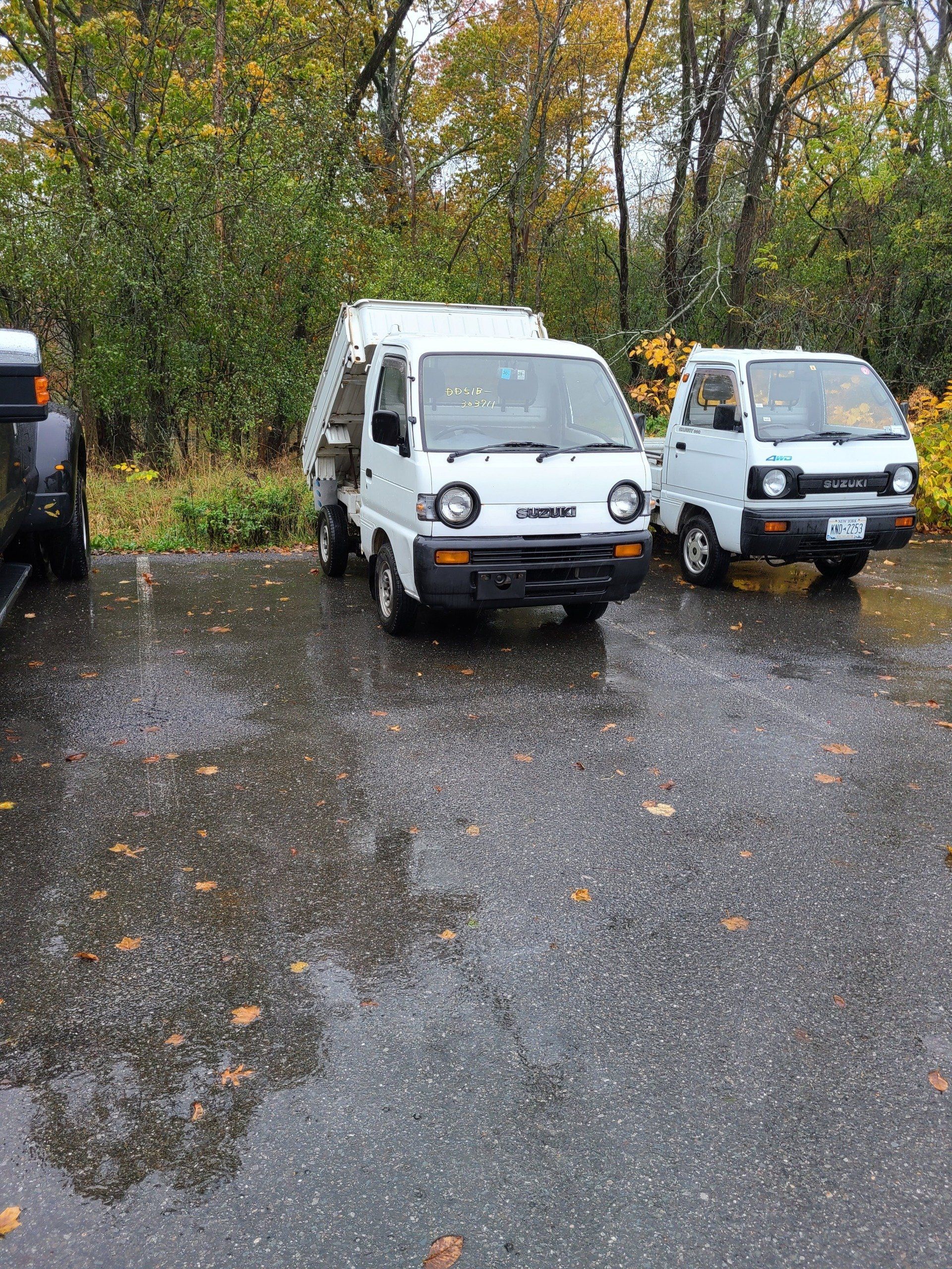 HVNY Imports photo gallery