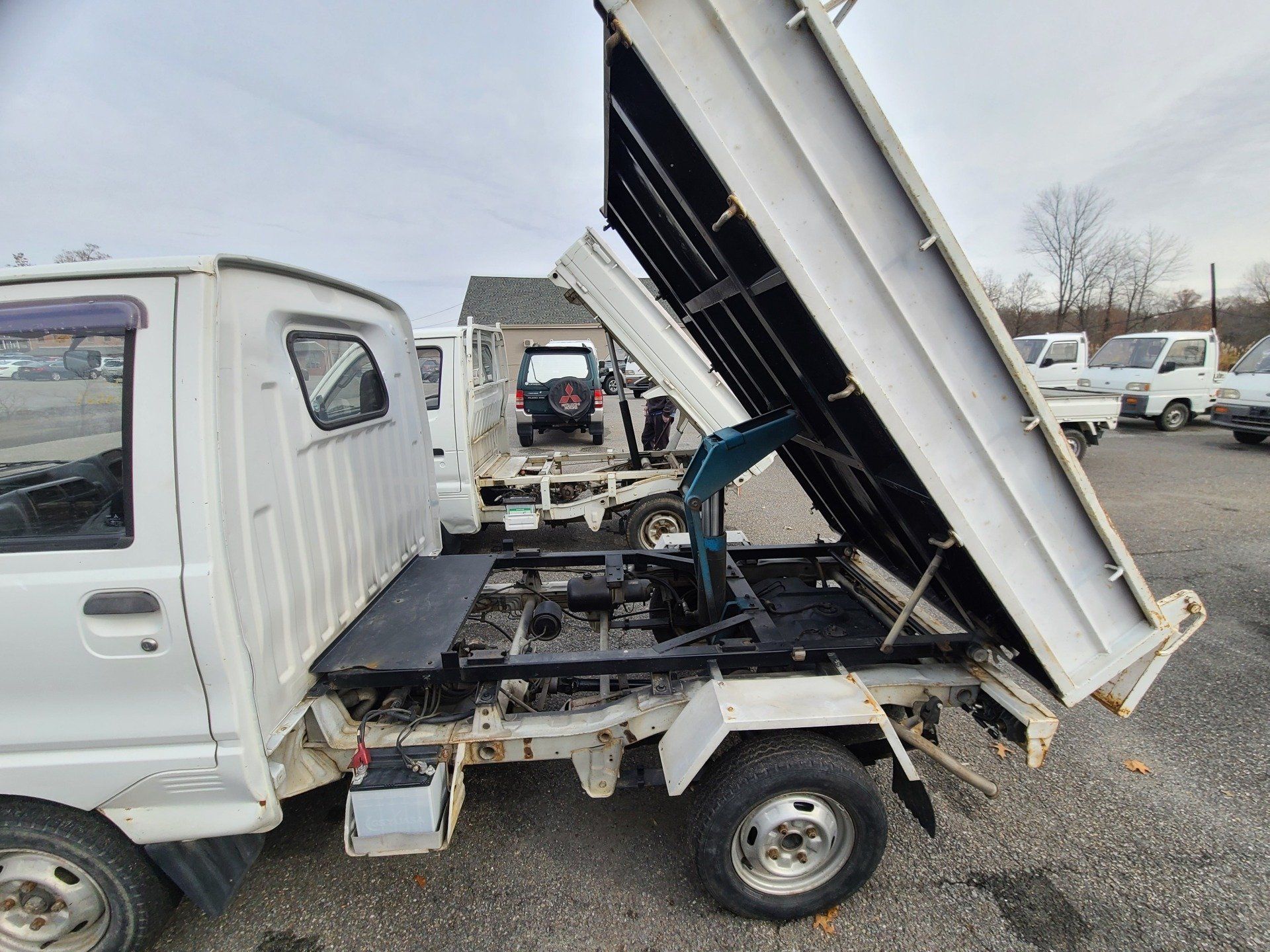 HVNY Imports photo gallery